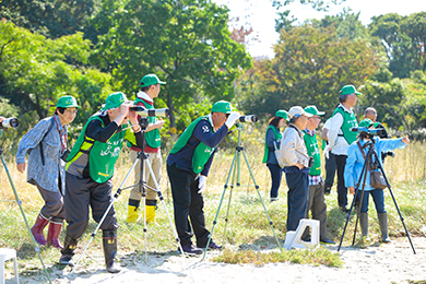 自然観察会(水鳥・生物・草花の観察)