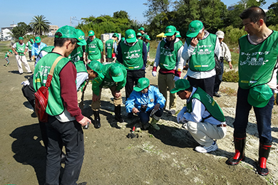 干潟に生息する様々な小さなカニや生物・植物のご説明