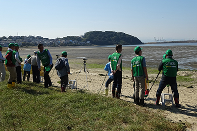 干潟に生息する様々な小さなカニや生物・植物のご説明