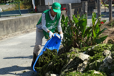 回収できたアオサは、ごみ袋に換算すると220袋