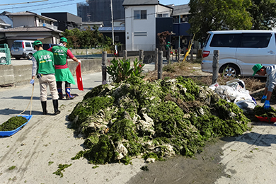 回収できたアオサは、ごみ袋に換算すると220袋