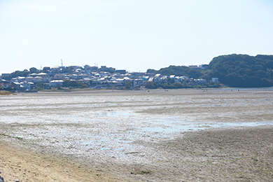 綺麗になった干潟をバックに記念撮影