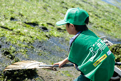干潟クリーン作戦