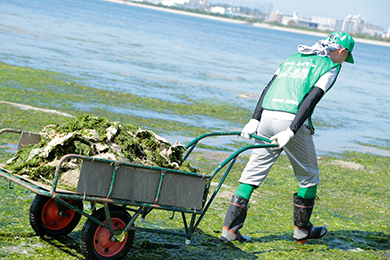 干潟クリーン作戦