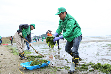 アオサを回収
