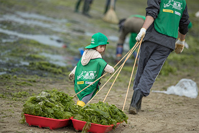 アオサを回収