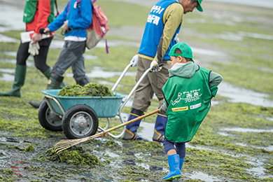 アオサを回収