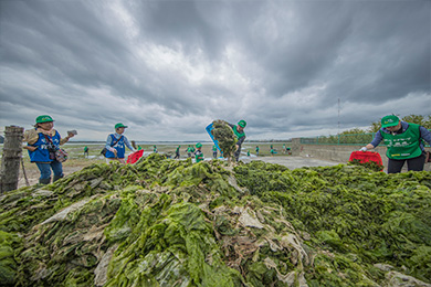 干潟がきれいになりました