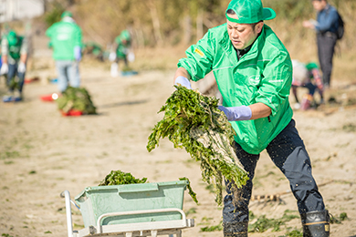 干潟クリーン作戦スタート