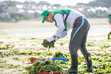 干潟クリーン作戦スタート