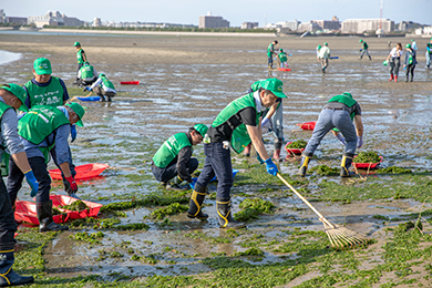 干潟クリーン作戦
