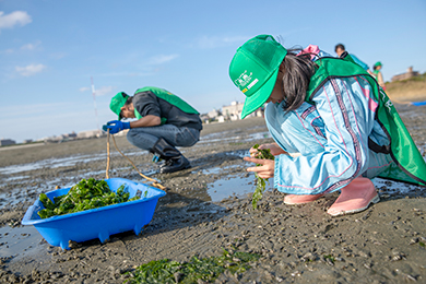 干潟クリーン作戦