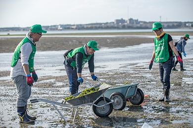 干潟クリーン作戦