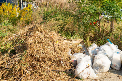 こんなにゴミが拾えました