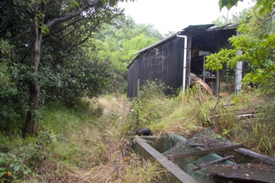 伸びた草木を注意をしながら刈っていき、枝を払い続けた