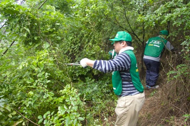 伸びた草木を注意をしながら刈っていき、枝を払い続けた