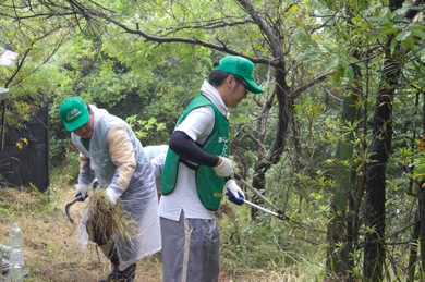伸びた草木を注意をしながら刈っていき、枝を払い続けた