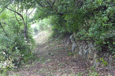 綺麗な遍路道になりました