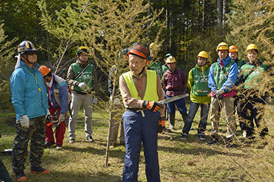 カラマツの除間伐体験