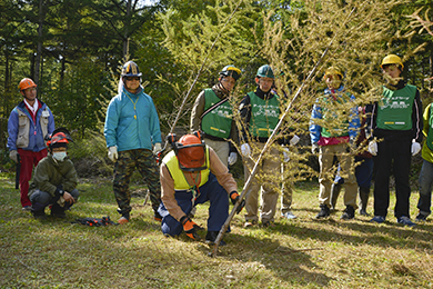 カラマツの除間伐体験