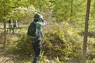 森の手入れの大変さや大切さを知ることができた