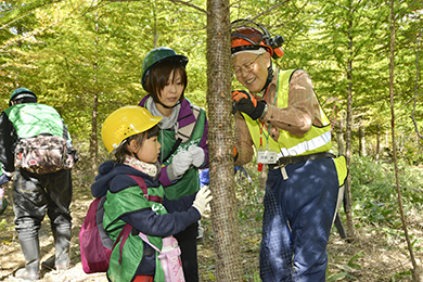 野生のシカに木を傷つけられないように、ネットを巻きました