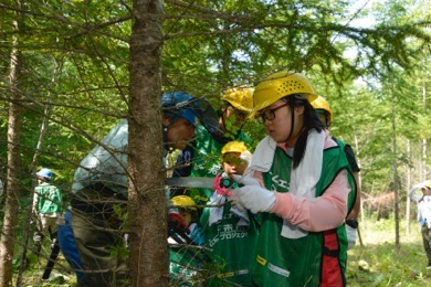 除間伐体験にチャレンジ！