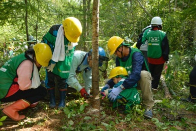 除間伐体験にチャレンジ！