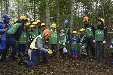 カラマツの除間伐体験