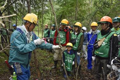 カラマツの除間伐体験