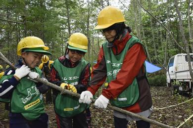 カラマツの除間伐体験