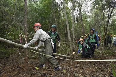 カラマツの除間伐体験