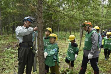 カラマツの木にネットを巻きました