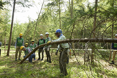 除間伐体験にチャレンジ！