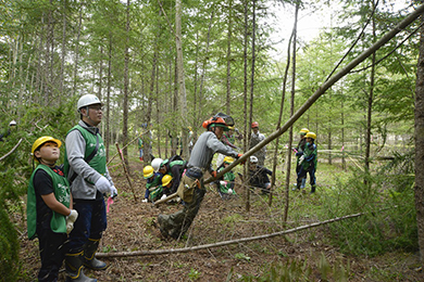 除間伐体験にチャレンジ！
