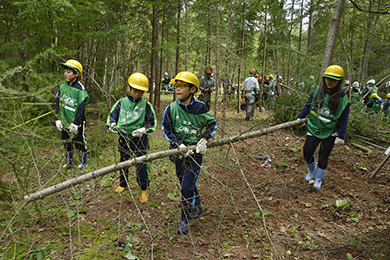 除間伐体験にチャレンジ！