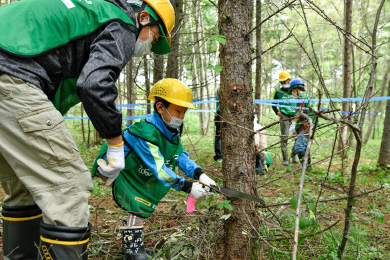 除間伐する木を決め、作業に取り掛かります