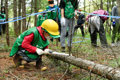 除間伐する木を決め、作業に取り掛かります