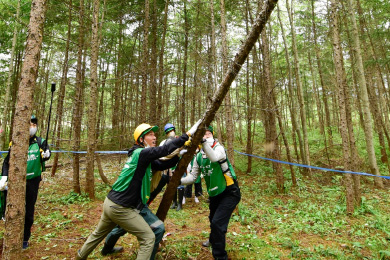 木が倒れていく様子は迫力満点
