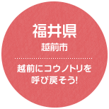 福井県 越前市