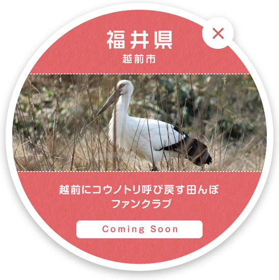 福井県 越前市 | 越前にコウノトリ呼び戻す田んぼファンクラブ