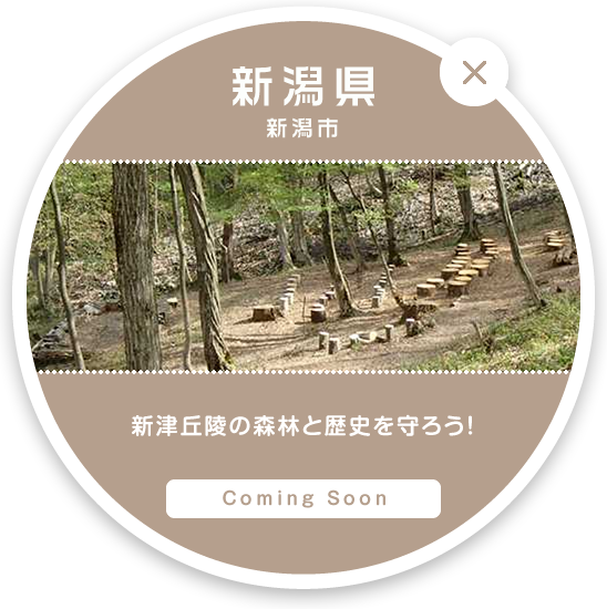 新潟県 新潟市 | 新津丘陵の森林と歴史を守ろう！