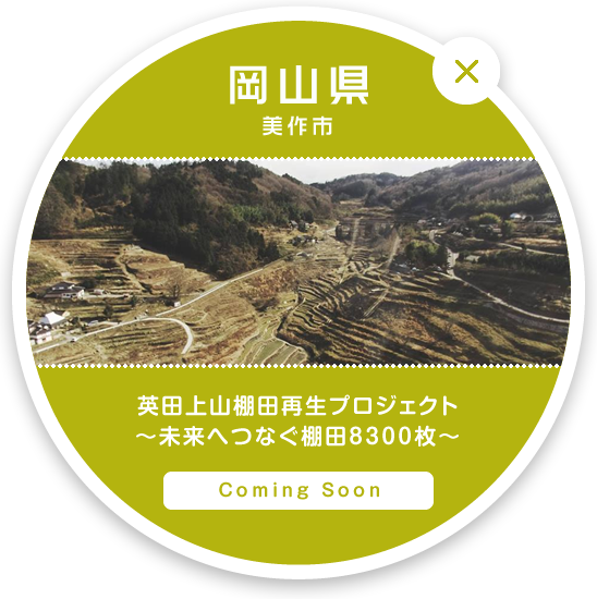 岡山県 美作市 |英田（あいだ）上山棚田再生プロジェクト～未来へつなぐ棚田8300枚～