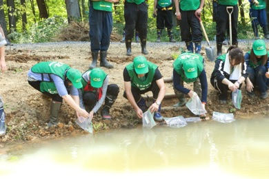 シナイモツゴを放流