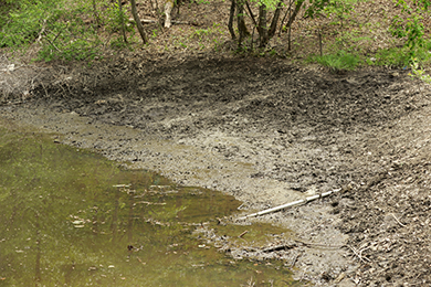 こんなにきれいになりました