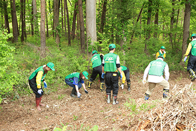 山道のゴミ拾い、山野草の選別作業