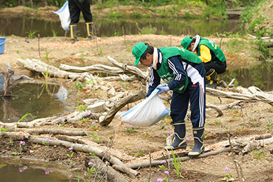 山野草の植栽とウッドチップ撒き