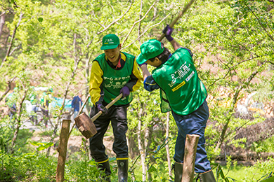 倒木を集める場所作り