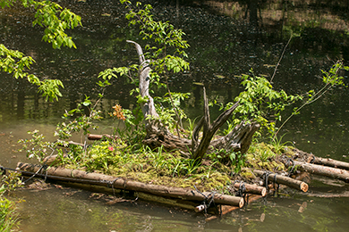 みんなで作った浮島