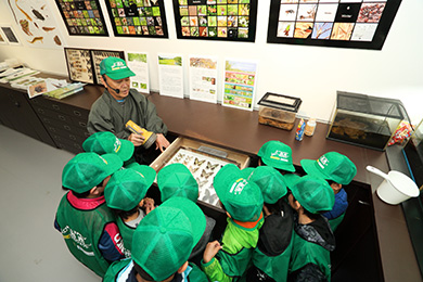 シナイモツゴを見せていただきました